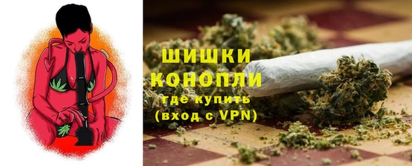 дживик Балахна